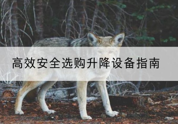 贵溪升降货梯厂家推荐-*安全选购升降设备指南