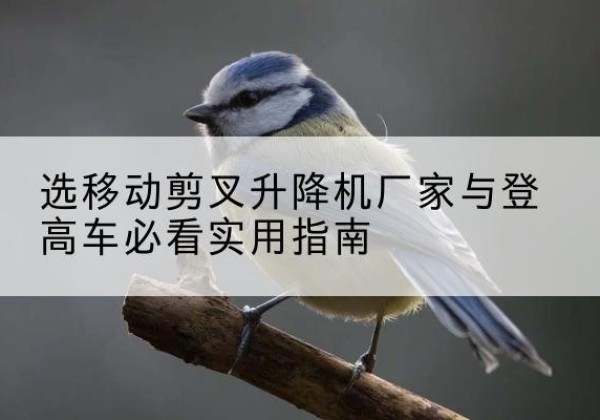 贵溪电动升降机厂家-选移动剪叉升降机厂家与登高车必看实用指南